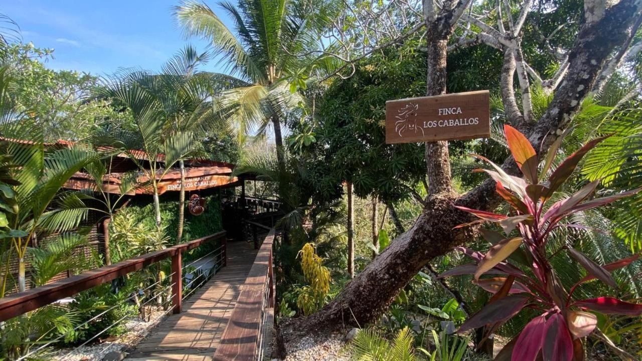 Finca Los Caballos Montezuma Eksteriør bilde